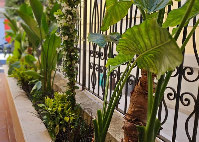 Suebi Rooms Termoli