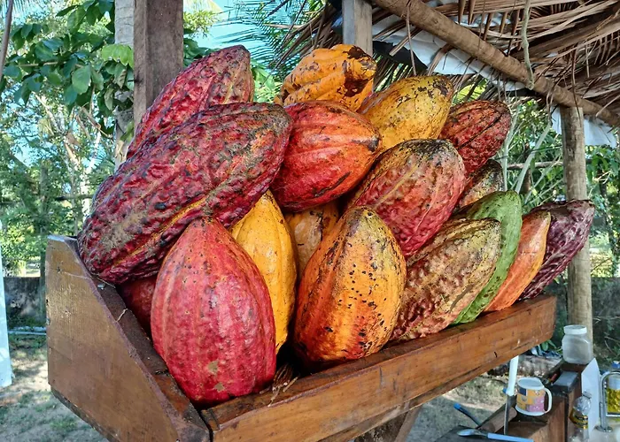 Boutique Pousada Cacau e Dendê Barra Grande 