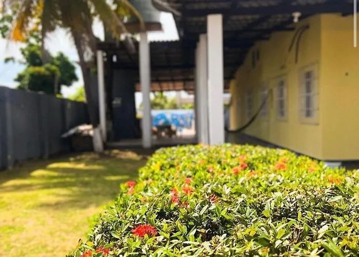 Hotéis que aceitam animais de estimação de Boa Vista (Roraima)
