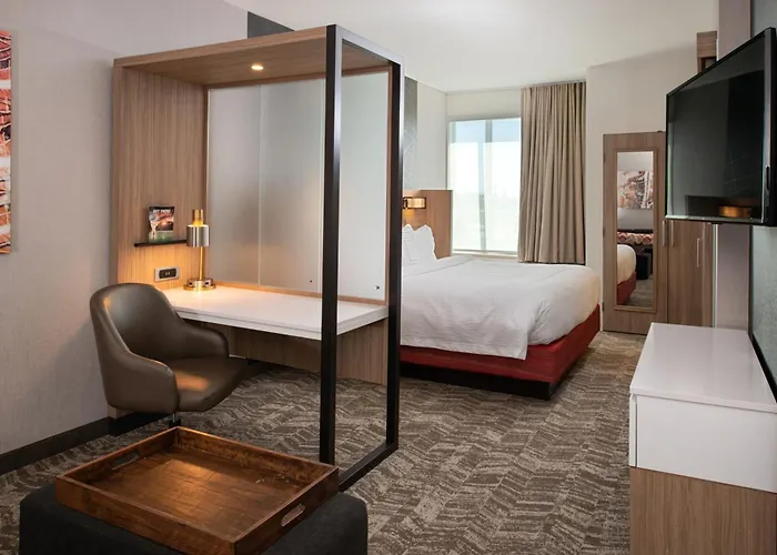 Springhill Suites By Marriott Kansas City Northeast