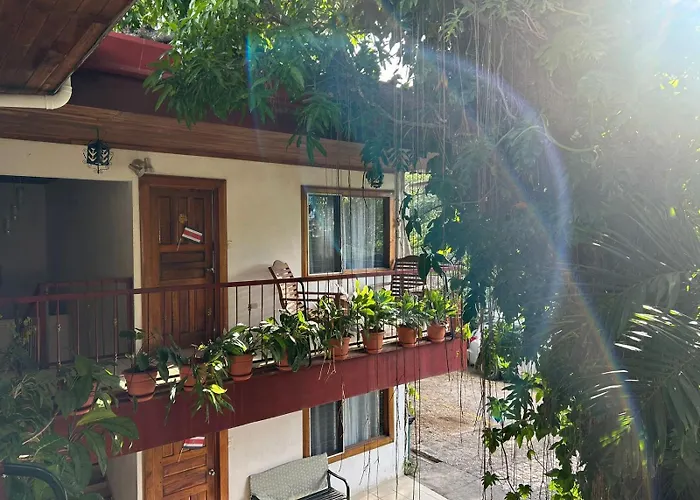 Hotel Javy