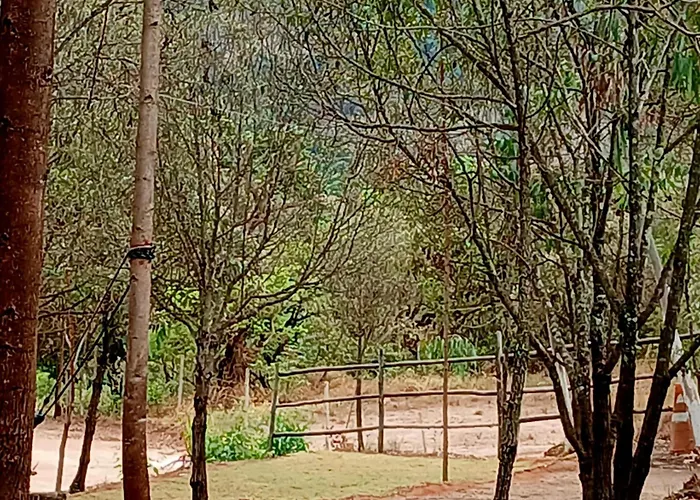 Camping Avohai