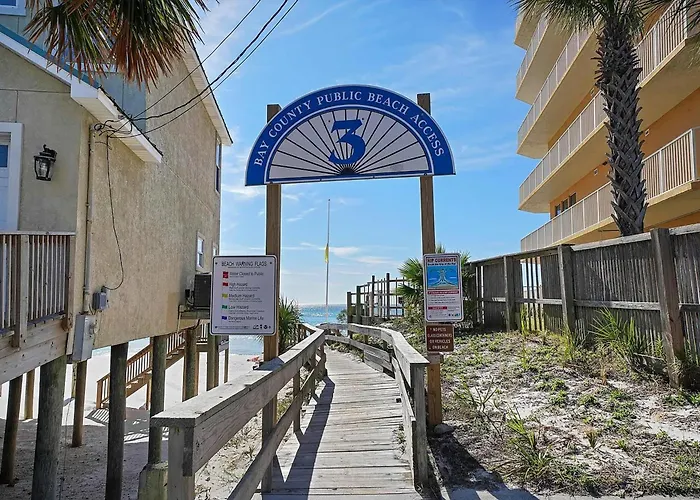 The Sand Dollar A