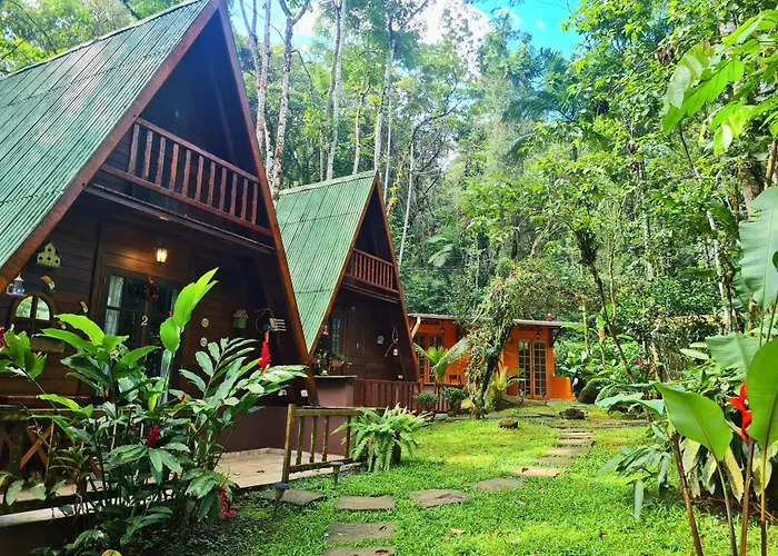 Floresta Encantada Ubatuba