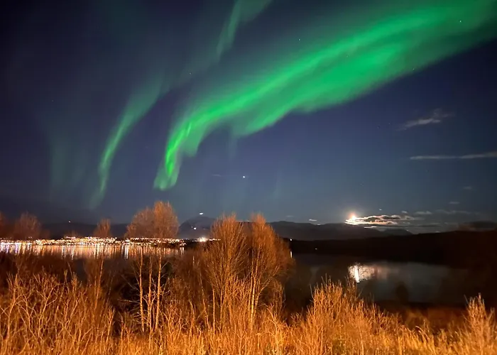 Aurora North