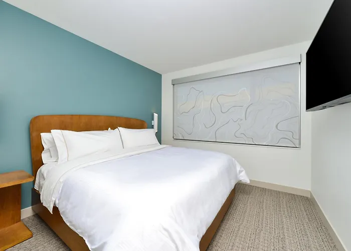 Pet friendly Element By Marriott North Kansas City