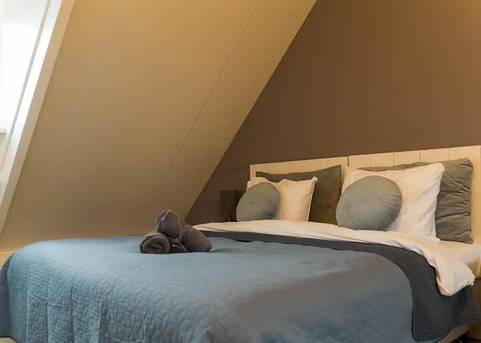 Hof Olmenstein Appartement Goes