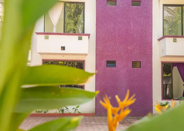 Hotel Palmarito