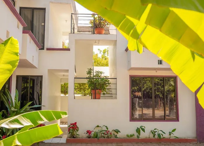 Hotel Palmarito