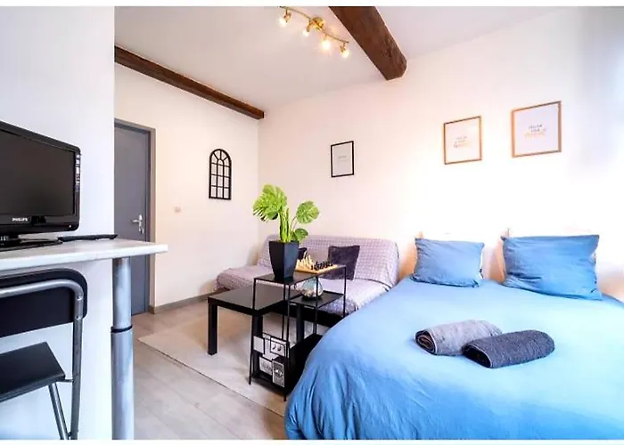Appartement La Belle Niche à Lille