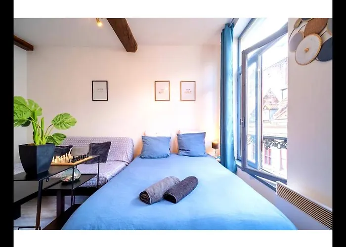 Appartement La Belle Niche à Lille