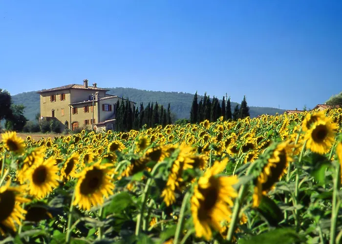 Agriturismo Palazzo Bandino - Wine cellar, on reservation restaurant&spa Chianciano Terme