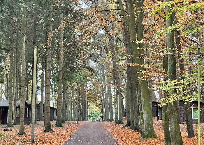 Feriendorf Fynnus