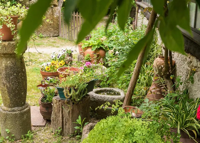 Chalé da Quinta Lavoura da Bouça - Fruta Bio Celorico De Basto aceita animais de estimação