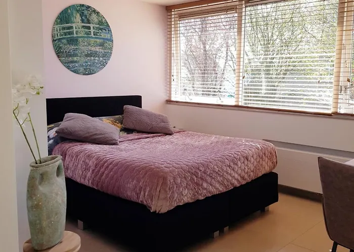 Dishoek Downtown Hotels