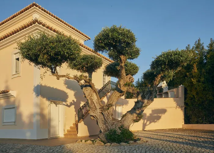 Villa Monte Das Oliveiras With Private Pool Albufeira
