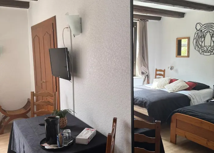 Boutique Hotel Wistub Le PasSage Sainte-Marie-aux-Mines