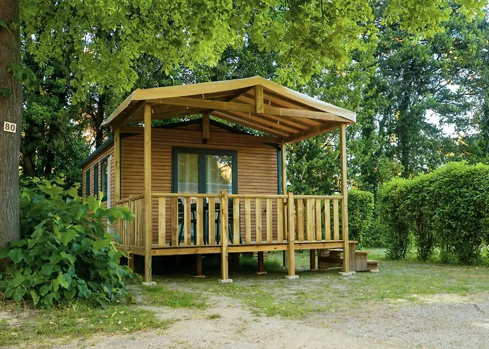 Camping les Avignon - la Laune Villeneuve-lès-Avignon