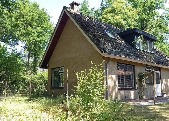 Heerlijk huisje in het Vechtdal tussen de bossen en de Vecht.. Ommen