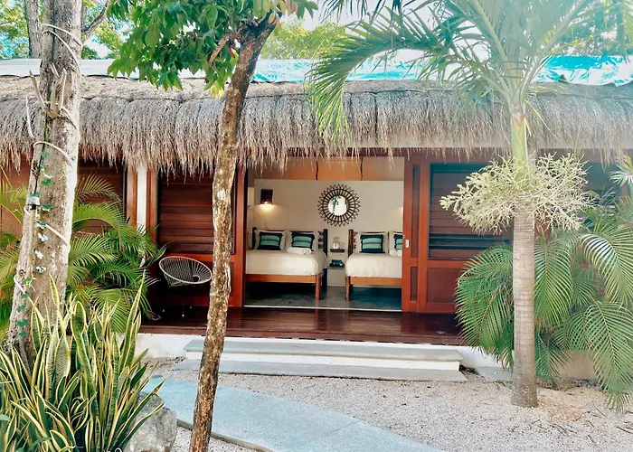 Mimosa Tulum