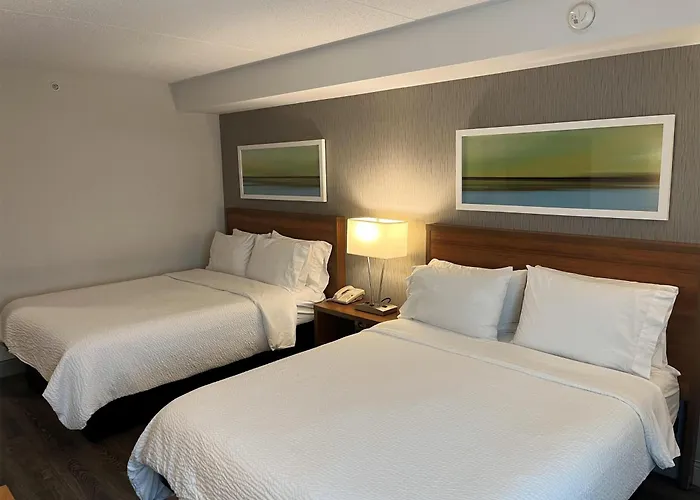 Hotel Marzia con Piscina Riccione