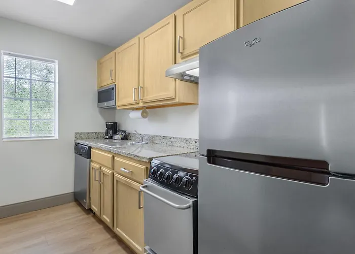 Mainstay Suites Tampa Moffitt-Usf