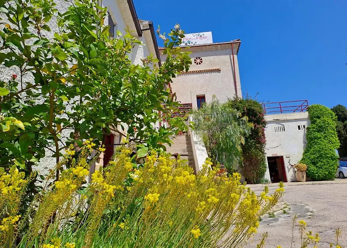 Pier Delle Vigne B&B Pineto che accetta animali