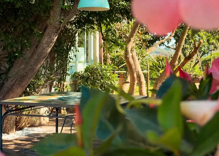 Giacaranda B&B Castellabate