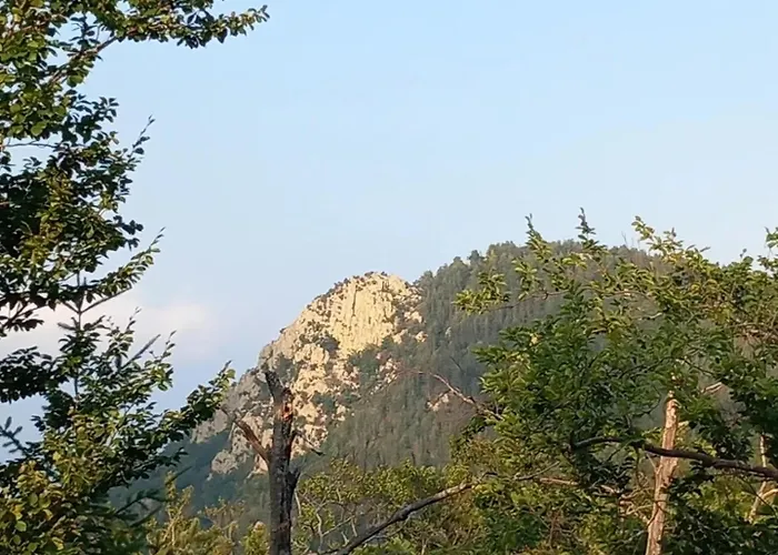 Mas Vilar, Relax, Nature And Slow Exclusive Only 6 Rooms Arbúcies