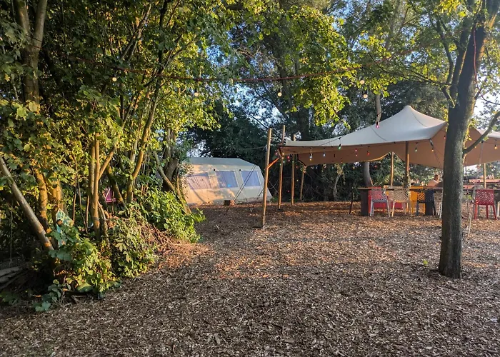 Eco-Camping De Helleborus, Yurt, Bell&Safari tent, Pipo, Caravans, Dorms&Units Groningen