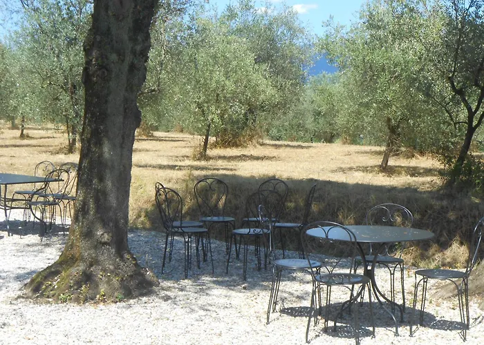 Amedea Tuscany Country Experience