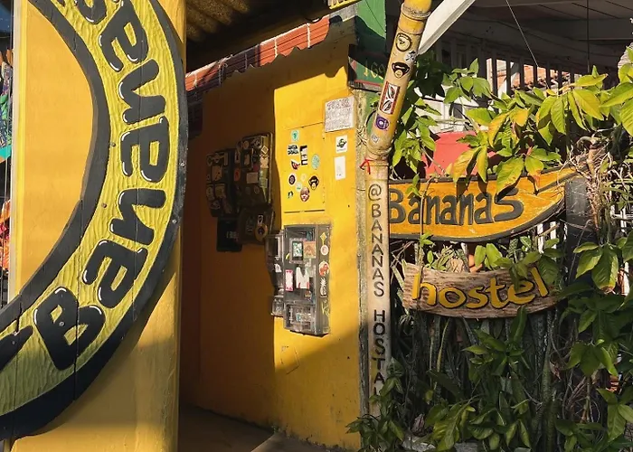 Bananas Hostel