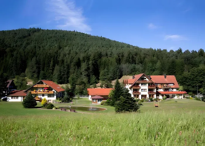 Landhaus Mühlengrund Baiersbronn