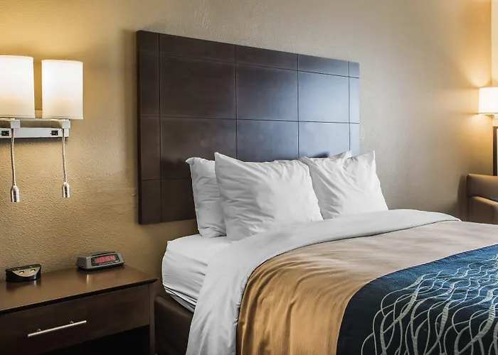 Pet friendly Comfort Inn & Suites Waterloo - Cedar Falls