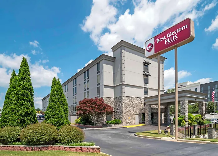 Best Western Plus Greenville I-385 Inn & Suites