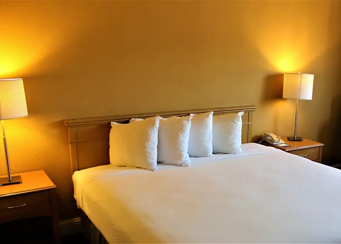 The Midtowner Hotel, Surestay Collection By Best Western Sacramento