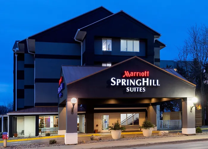 Springhill Suites Rochester Mayo Clinic Area / Saint Marys