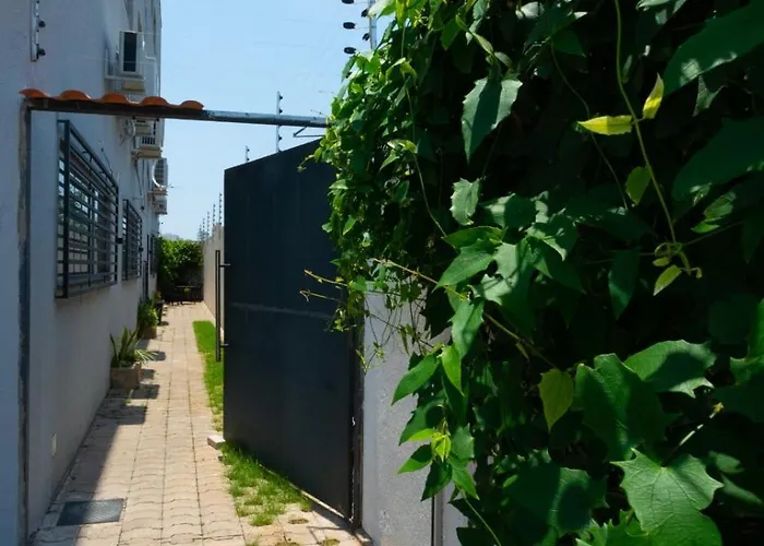 Zaffir Apartamento