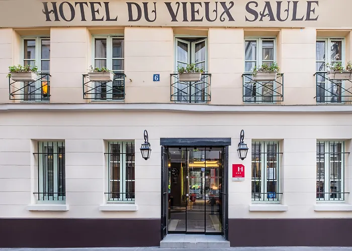 Hôtel Du Vieux Saule