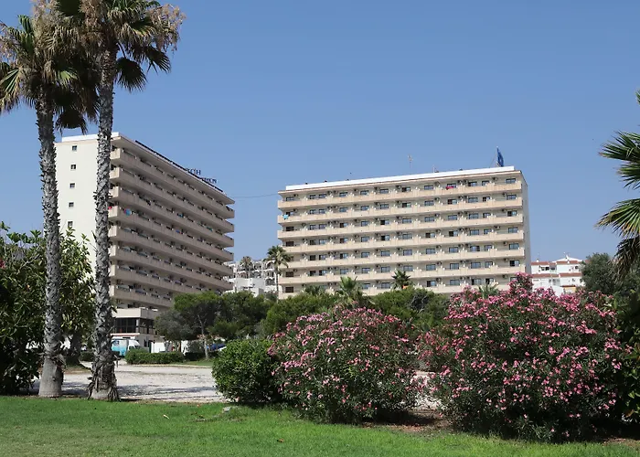 Hotel Playas De Torrevieja