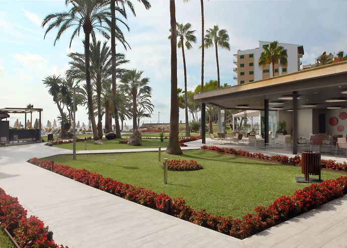 Palace Bonanza Playa Resort & Spa By Olivia Hotels Collection