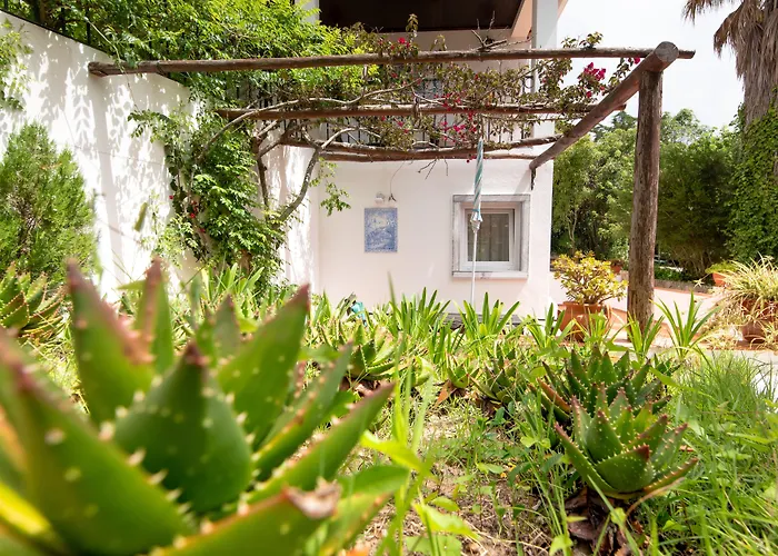 Boutique Quinta Verde Sintra - Casa de Campo