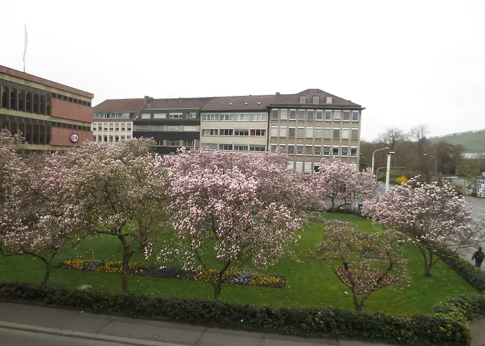 Huisdiervriedelijke Hotel Regina Würzburg