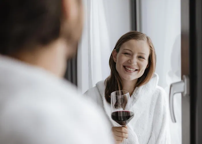 Huisdiervriedelijke Novotel Hildesheim City