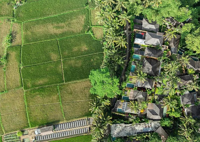Temuku Ubud Villas con Piscina