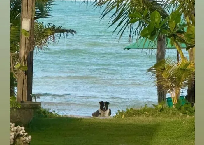 Parador Algaroba Japaratinga que aceita animais de estimação