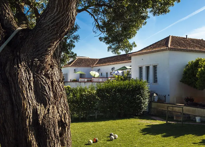 Quinta Da Gafaria Vila Santarém aceita animais de estimação
