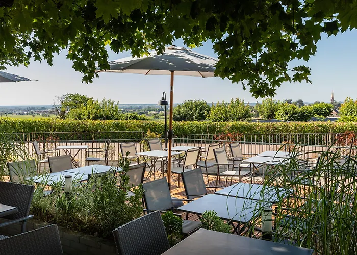 Huisdiervriedelijke Hotel Les Hauts De Meursault