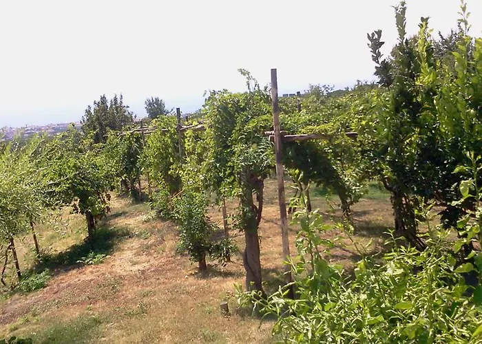 Tenuta Le Fornacelle Torre del Greco che accetta animali
