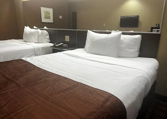 Pet friendly Microtel Inn & Suites By Wyndham Kenedy Karnes City